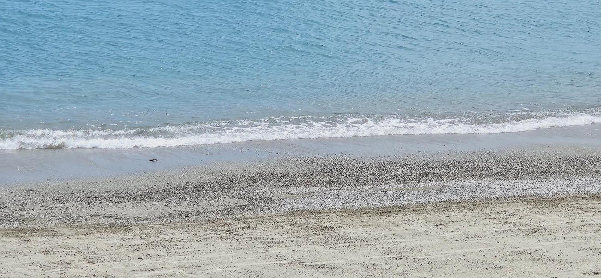 Vista Mare Savona Διαμέρισμα Εξωτερικό φωτογραφία